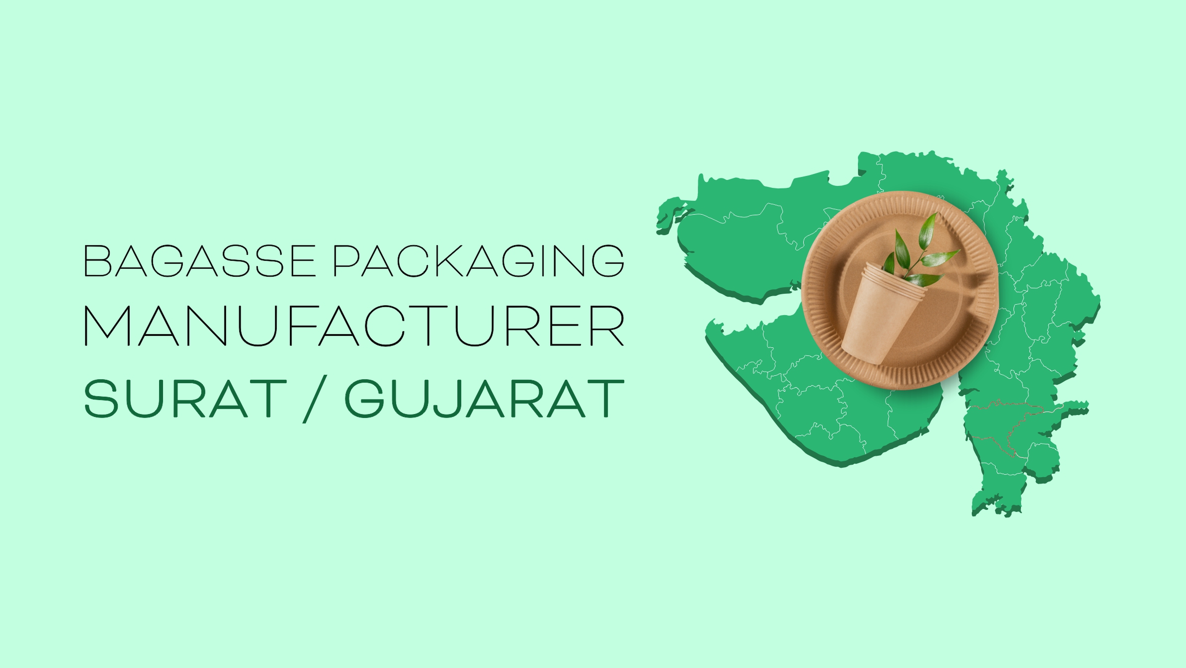 Bagasse Packaging Manufacturer Surat / Gujarat